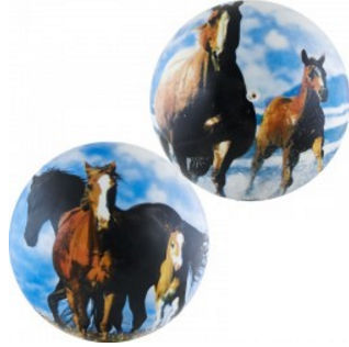 ��� �������� ��������� 20 ��