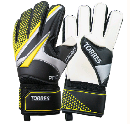   TORRES Pro 11