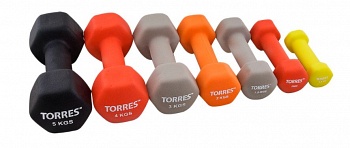 ������� ����������� TORRES 1 ��