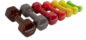 ������� � ��������� �������� TORRES 5 ��.