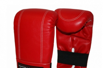 �������� ��������� RV XL